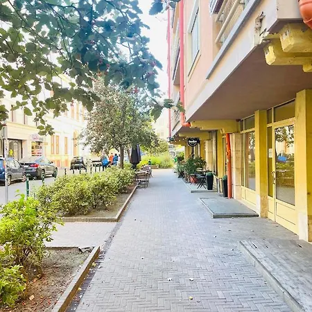 Peony Hollo - Free Garage Under The House *