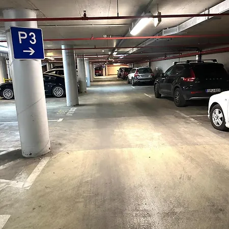 Peony Hollo - Free Garage Under The House